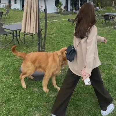 滹沱儿女
